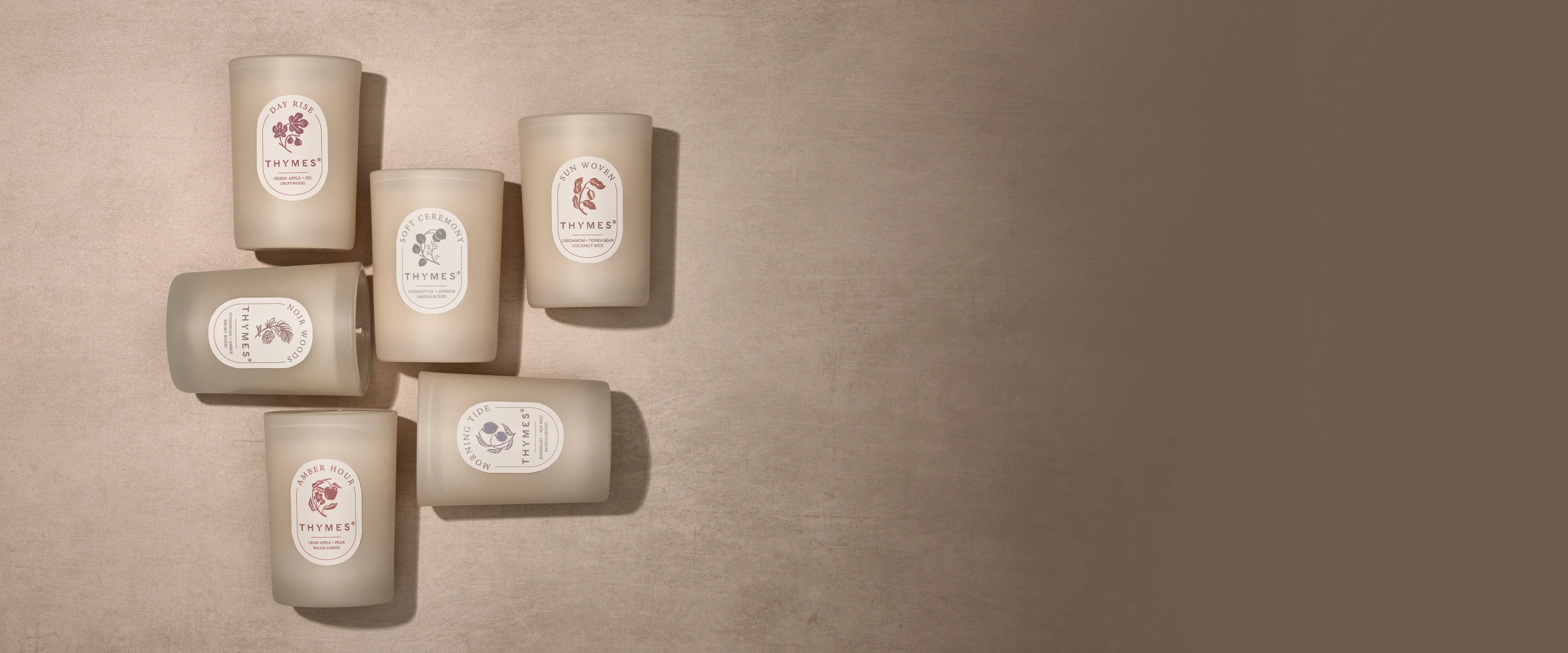 Elevate Your Senses Every Day